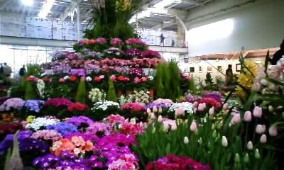 フラワーフェスティバル