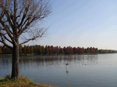 水元公園