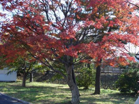 水元公園