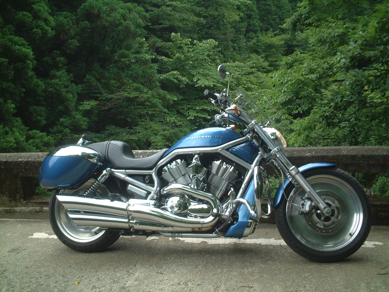 明神林道にて　V-ROD