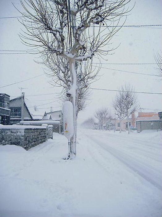 バス停が、吹雪のため、見えなくなっています。