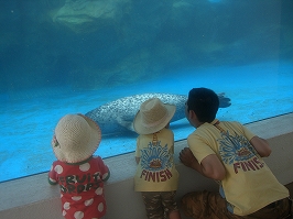 水族館２☆