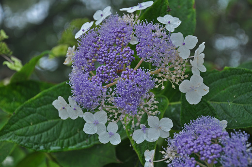 2010 09 16_6545.jpg