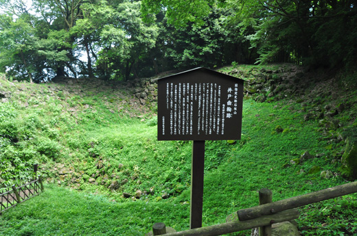 2010 07 31_5096.jpg