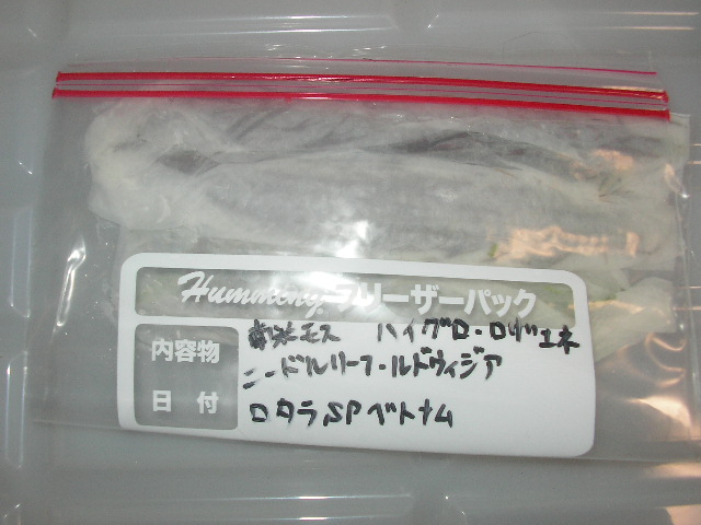 SANY0144.JPG