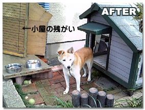 AFTER　愛犬ポロの小屋