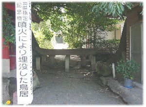 埋没鳥居