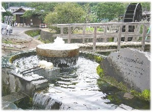 河宇田湧水