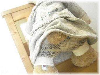 ワンピース Back.jpg