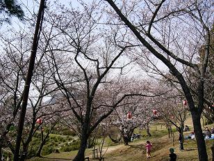 P1000130.JPG
