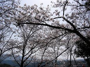 P1000131.JPG
