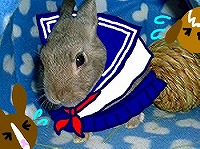 スケバンゆりちゃん！？！？