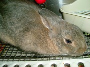 眠いのよぉ～～～寝かせてぇ～～～