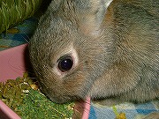 寒くても～食欲全開！なユリナです♪