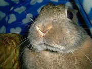 迫力あるなぁ～　あたしってば～～～