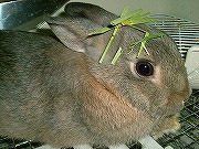 こ～んなコトされちゃいました。。。