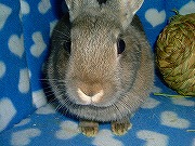 興味津々！！！お年頃？なユリナ？