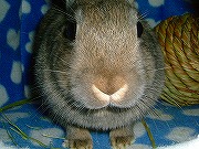 何だ？この「丸い」ブッタイは？？？００１