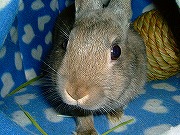 何かユリナに御用～？　ここはあたしのテリトリーよ！