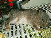 爆睡中ユリナさん。。。ちょっとやそっとでは起きない。。。