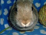 何だ？この「丸い」ブッタイは？？？００２