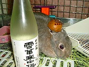 領民(ぱぱ)のスキー土産：地酒＆温泉饅頭