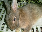 眠い。。。もう我慢できない。。。寝るぅ～～～　zzzzzz