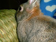 「後ろ」から、ゆりチャン☆