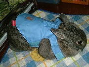 「首」のトコ が 止まってないよぉう！（ユリナ、必死に抵抗中！！！）