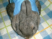 不本意な為、かなり ふて腐れている ワタクシ・・・。