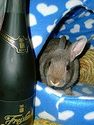 ままぁ～！うさぎにシャンパンなんて禁止だよぉ～～～
