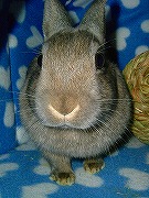 さて、今日も視察に出かけようかな！