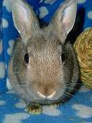 ん？？？何か　おやつ　くれるのぉ～？？？