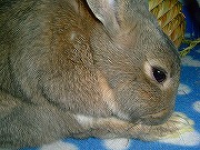 自慢の「あんよ」で～す♪