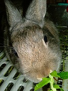 ふみゅふみゅ～？？？クンクン（匂いを確認ちぅ）