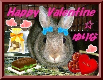 ユリナから「Ｈａｐｐｙ　Ｖａｌｅｎｔｉｎｅ☆」