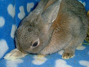 ユリナの自慢の　あんよ☆　でっす。