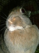 「きりきりっ！」迫力顔なユリナさん～☆