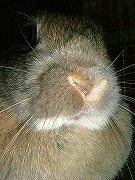 「ぐおおおおおお！」大迫力顔のユリナ～★