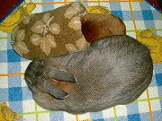 ユリナの「スリッパ変身芸」その２