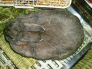 真上から「ユリナさん」～★　まるで草鞋？？？