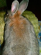 「後ろ」から、ユリナ☆