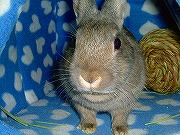 ユリナのハウスに御用？？？？？