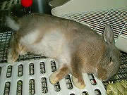 爆睡中なユリナさん　ｚｚｚｚｚｚ