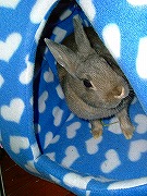 『ユリナさんハウス２００５冬』でくつろぐワタクシ♪