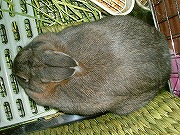 真上からユリナ・・・。まるで「ぼた餅」・・・。