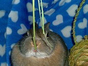 「ぶちゃいくユリナがゆく！」００３