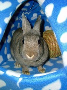 『ユリナさんハウス２００５冬』でのんびり～なワタクシ♪