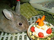 むむむむむ。。。これってなぁに？？？ケーキとやら？と戦うユリナ！