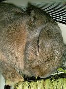 爆睡中なユリナさん。ｚｚｚｚｚｚｚｚ・・・